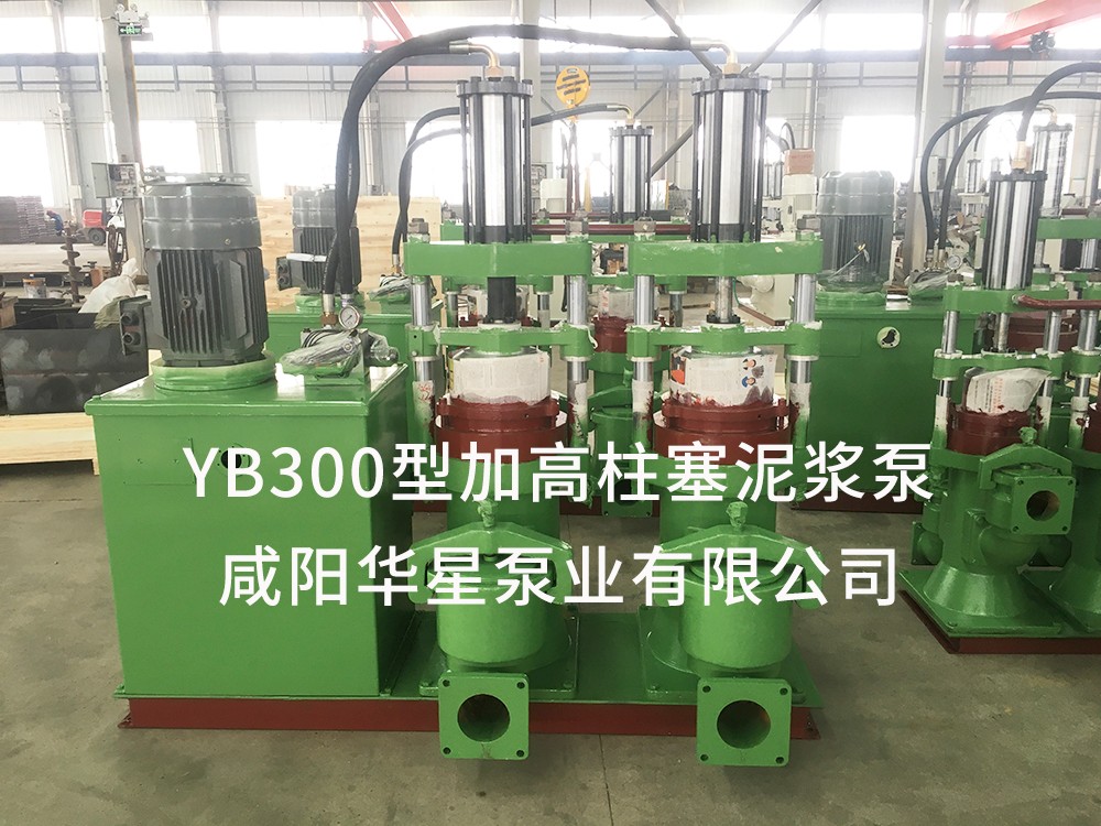 YB300加高泵